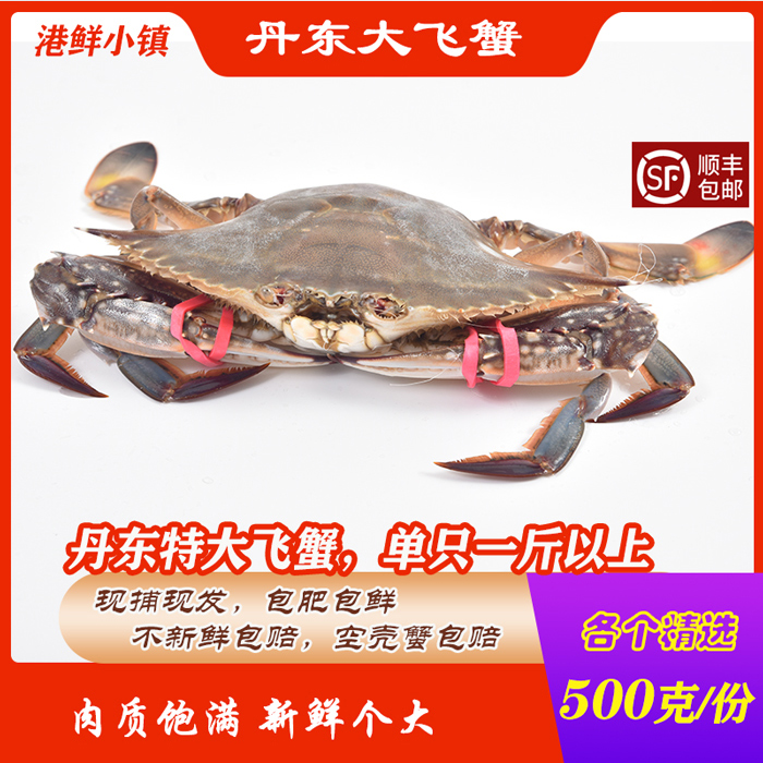 【保鲜不保活】丹东特大梭子蟹大飞蟹特大东港满肉满黄优选母飞蟹