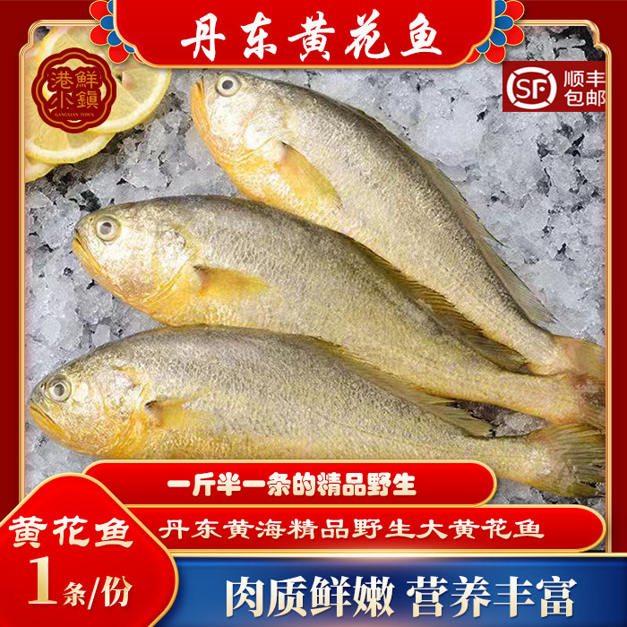 丹东特产野生黄花鱼新鲜黄鱼生鲜水产海鱼深海黄花鱼顺丰发货