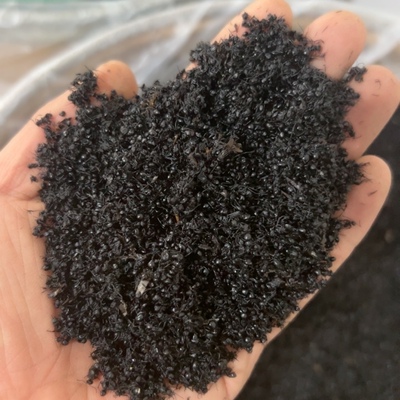 950克  干货  黑蚂蚁