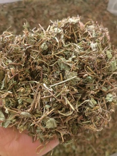 一千克 干货 积雪草