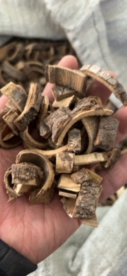 一千克 干货 海桐皮