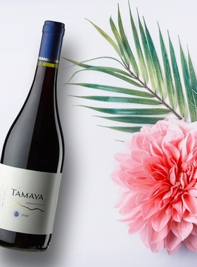 TAMAYA智利大玛雅缤纷西拉进口干红葡萄酒750ml 单支试饮