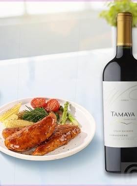 TAMAYA智利大玛雅 酿酒师特藏卡门干红葡萄酒 750毫升 单支礼盒