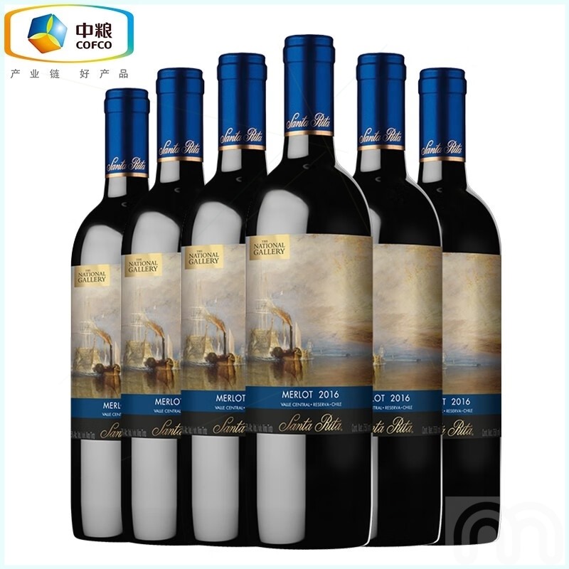 圣丽塔智利进口红酒酒庄国家画廊干红 美乐珍藏750ML*6支装