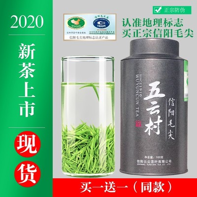 五云村新茶信阳毛尖茶叶绿茶明前手工嫩芽200g全芽尖茶