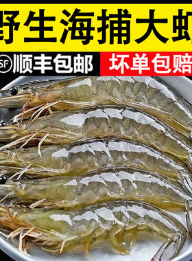 野生海捕大虾青岛大虾基围虾
