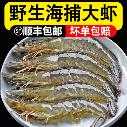 青岛大虾4斤海捕基围虾超大对虾鲜虾活虾海鲜鲜活水产海捕大虾
