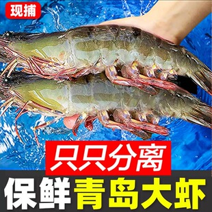 新鲜大虾超大基围虾特大青虾白虾冷冻盐冻虾南美虾海鲜水产虾2030