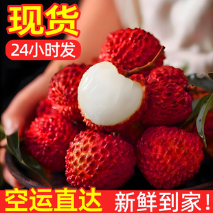 现货空运海南永兴火山荔枝王新鲜现摘现发当季水果特大果礼盒装