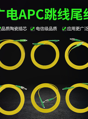 YOUYSI 广电款3米光纤跳线SC/APC-FC/APC-LC/APC光缆连接线跳接线光纤延长线