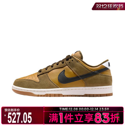 NIKE耐克男子DUNK复古运动鞋休闲鞋板鞋IB6399-300