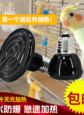 陶瓷螺口鹦鹉龙猫芦丁鸡保温灯