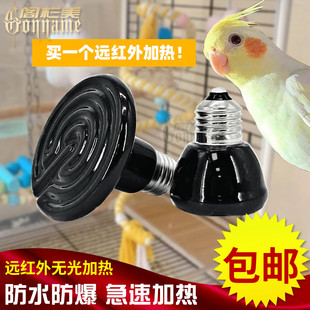 E27螺口陶瓷红外加热灯鹦鹉爬虫龙猫龟箱芦丁鸡蜜袋鼯宠物保温灯