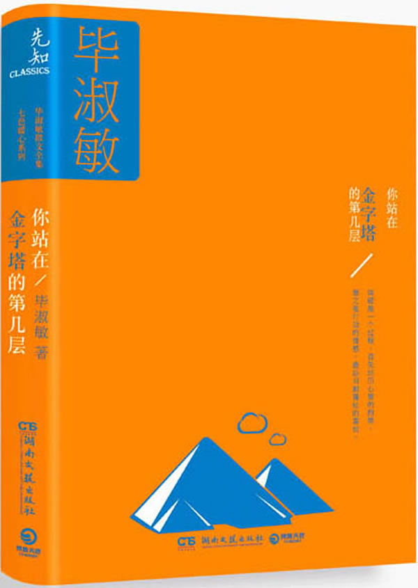 正版包邮你站在金字塔的第几层书籍正版