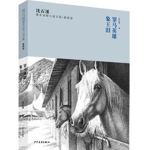 正版包邮沈石溪臻奇动物小说文集.豪情卷：罪马英雄、象王泪图书书籍