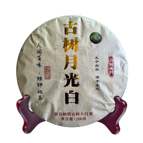 云南景谷大叶种白茶秧塔大白茶