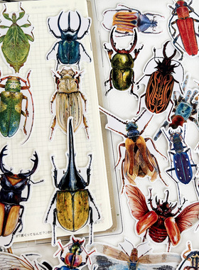 昆虫世界甲虫独角仙长戟大兜虫蜘蛛贴纸手帐儿童手抄报装饰素材贴