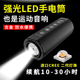 三合一手电筒蓝牙音响C口多功能自行车强光灯夜骑行照明便携防水