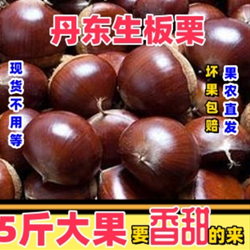 新鲜生板栗2023大板栗现摘生栗东北锥栗野生板栗5斤大果栗子 水产肉类/新鲜蔬果/熟食 新鲜板栗/板栗仁 原图主图