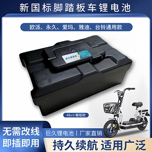 小葡萄盒T901款 48V12AH20AH锂电池踏板车专用爱玛雅迪台铃通用款