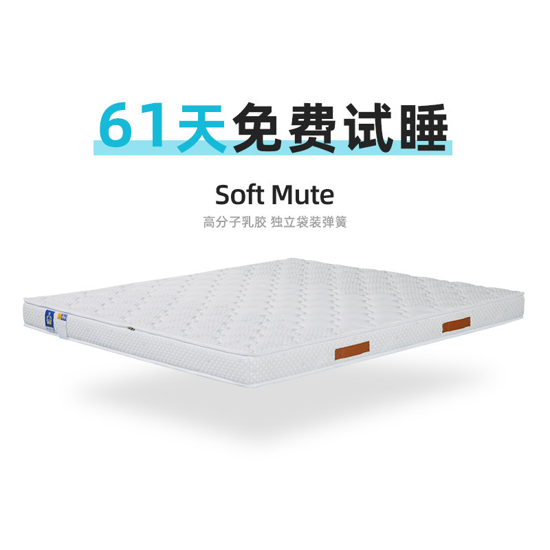宏益床垫 独立袋装弹簧12cm 软硬适中 高分子乳胶双人榻榻米床垫