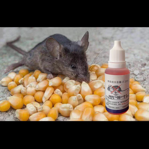 老鼠母液老鼠克星化工药水剂高效强力耗子克星全端养殖场商家用