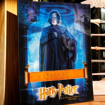 哈利波特光栅复古魔法海报