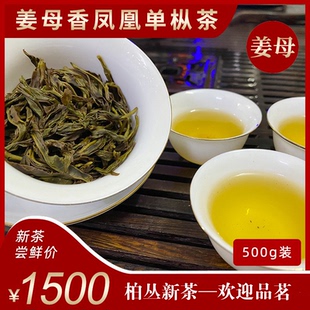燕南Y24 凤凰姜母香特级单枞茶 店家推荐 头春量少通天香 清香型