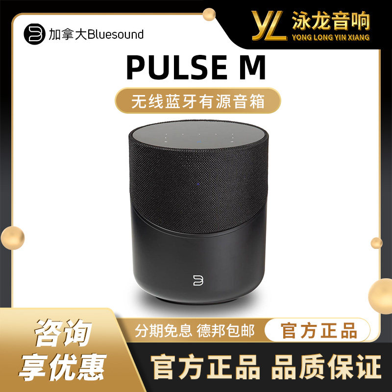 Bluesound蓝嗓子 PULSE M P230 无线蓝牙有源音箱流媒体音箱