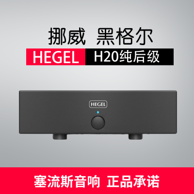 挪威纯后级大功率hifi扩音机