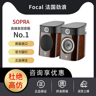 Focal SOPRA-N1