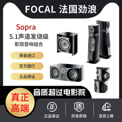 法国劲浪音箱中置环绕