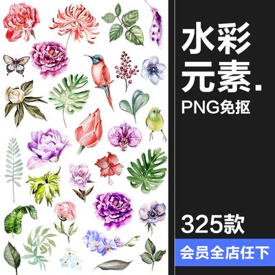 水彩唯美手绘热带花鸟花卉植物拼凑PNG免扣透明元素PS设计素材