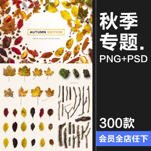 秋季专题落叶植物树叶树枝枯木松果秋天背景PNG元素PSD分层PS素材