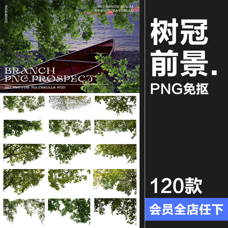 树枝树冠前景植物树叶图片装饰元素摄影照片后期合成PNG免抠素材 商务/设计服务 设计素材/源文件 原图主图