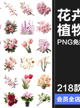 鲜花植物花卉花朵花束玫瑰郁金香鲜花野花PNG免扣图插画图片素材