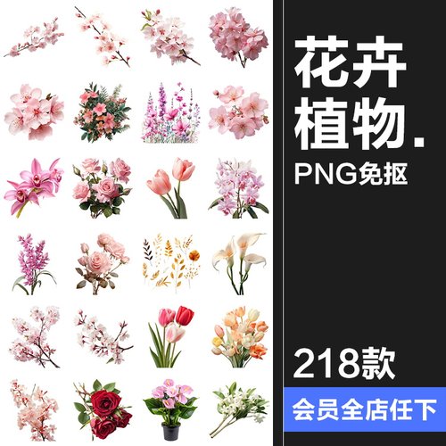 鲜花植物花卉花朵花束玫瑰郁金香鲜花野花PNG免扣图插画图片素材