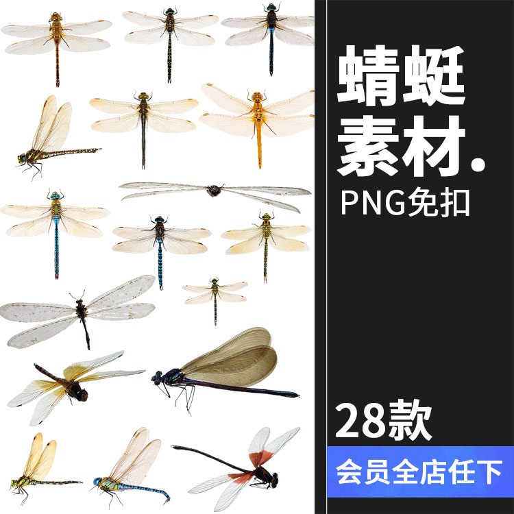 PS真实蜻蜓昆虫飞舞影楼摄影后期PNG免抠图透明背景叠加合成素材