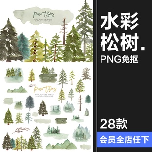 手绘绿色水彩松树森林绿植意境贴图剪贴画PNG免抠图插画元 素素材