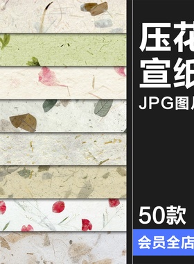 高清古风清新压花干花书法宣纸纹理纸张底纹贴图背景JPG图片素材