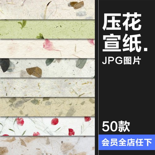 高清古风清新压花干花书法宣纸纹理纸张底纹贴图背景JPG图片素材