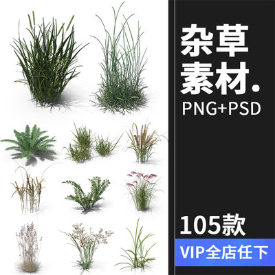 小麦芦苇小草丛草芦三叶草蕨类植物杂草PNG免扣后期PSD合成PS素材