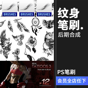 酷炫纹身装饰纹饰鸟类图案画笔笔触设计brush元素PS笔刷素材