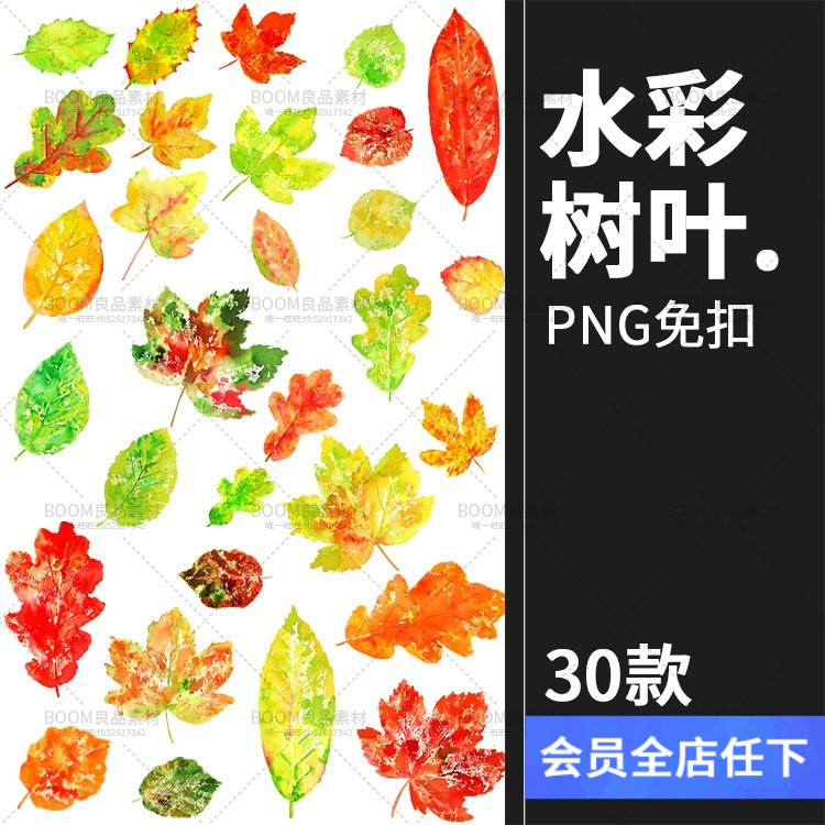 文艺小清新植物水彩彩色树叶落叶图元素剪贴png免扣设计插画素材