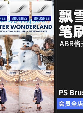 飘雪雪景小雪雪花特效blus后期影楼效果叠层PS笔刷素材abr格式