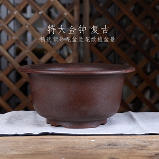 铁画轩复古系列紫砂大号盆矮金钟兰花盆绿植盆景复古中国风中式