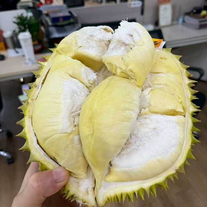 （顺丰包邮）现货越南金枕榴莲新鲜进口当季水果