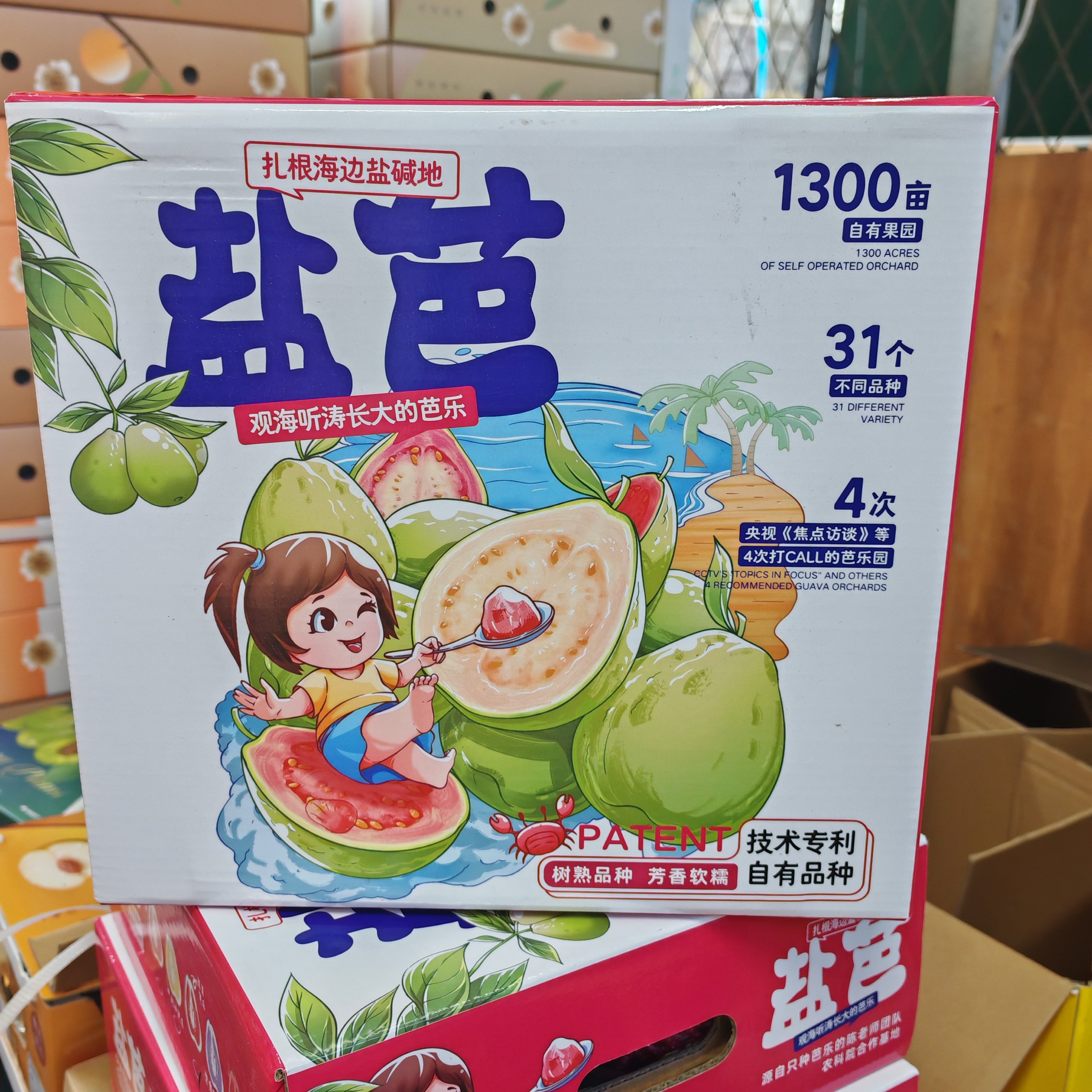 （顺丰包邮）盐芭奶油芭乐树熟品种西瓜芭乐软糯番石榴4斤礼盒