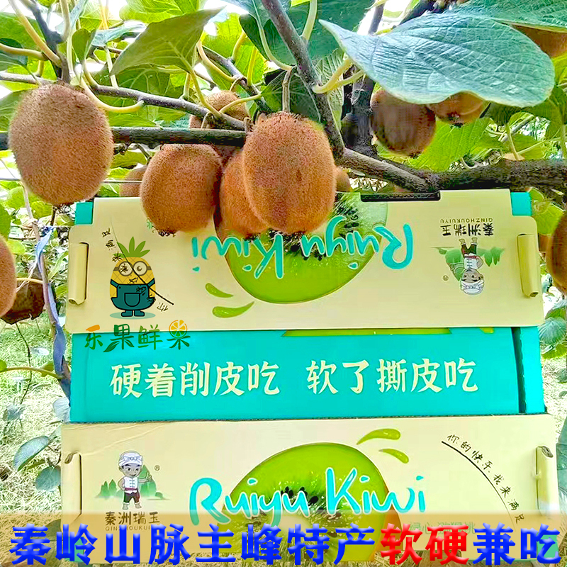 绿心猕猴桃当季新鲜奇异果顺丰