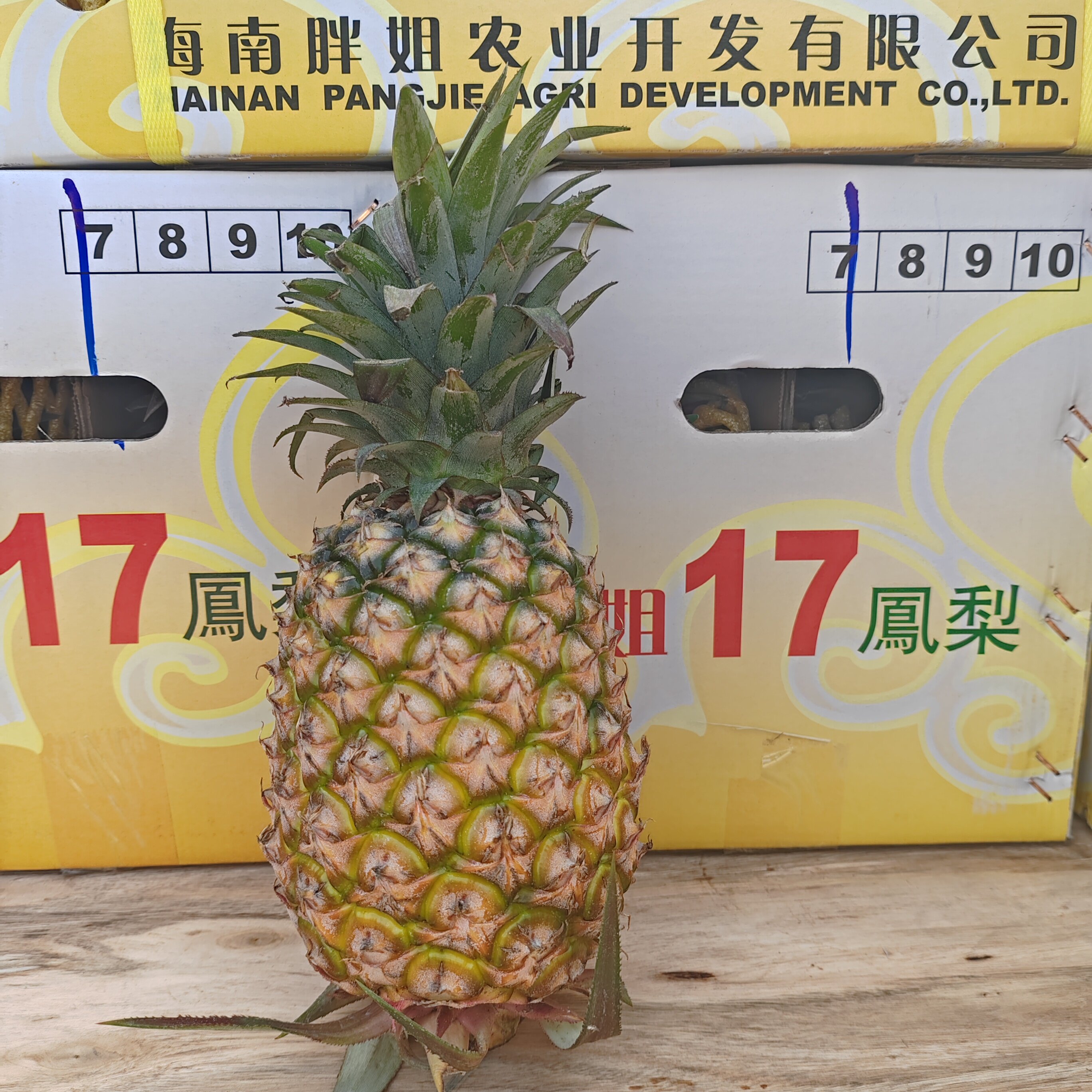 （顺丰包邮）现货当季现摘海南胖姐冬蜜凤梨香甜可口新鲜水果